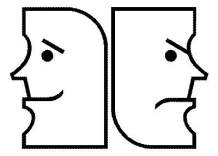 Critical Psychiatric Network